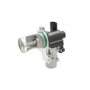 VALVOLA RITORNO GAS DI SCARICO Autentico