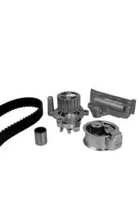 Affare Pompa acqua + Kit cinghie dentate